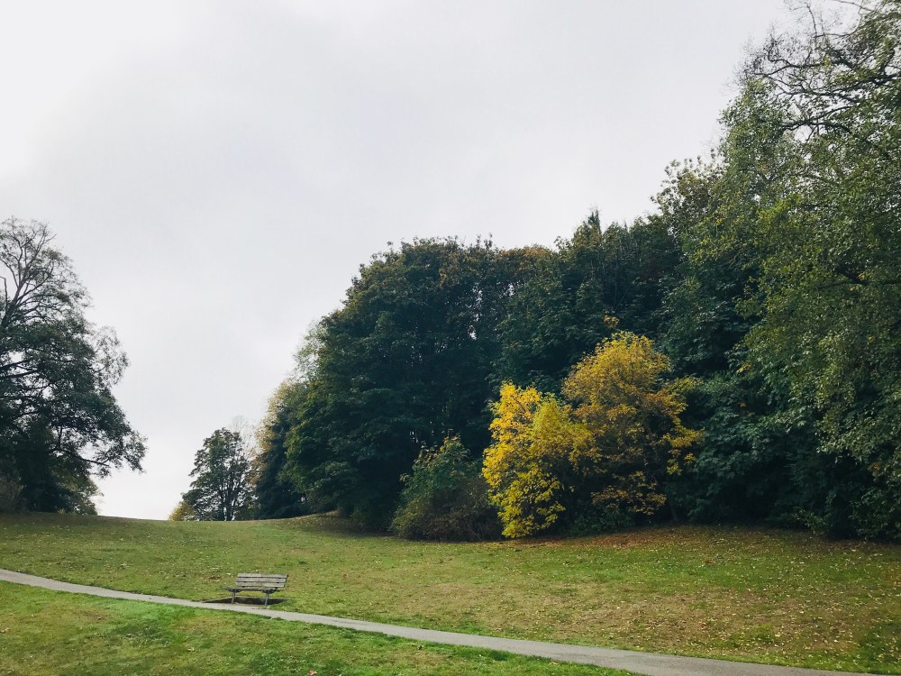 4553B1C2-ACBD-4381-8152-8989E1CD0168