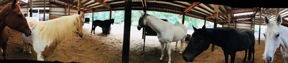 46194A28-B5BE-4AC9-9270-61F8C726EA0A