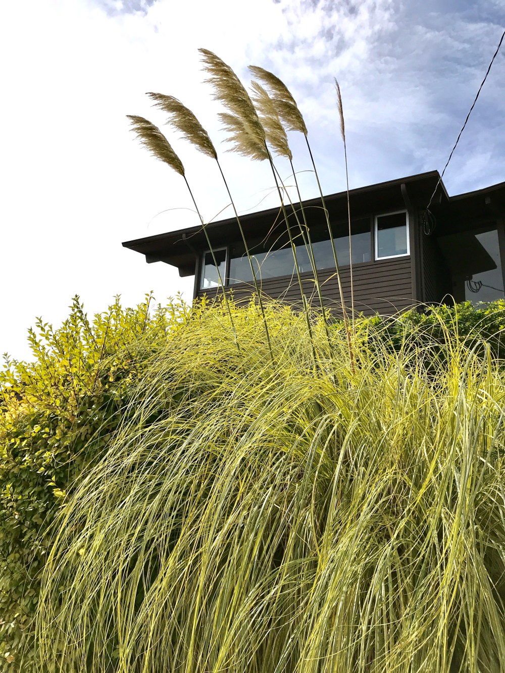 49564FB1-958B-493B-9DC2-9270BEFB03AD