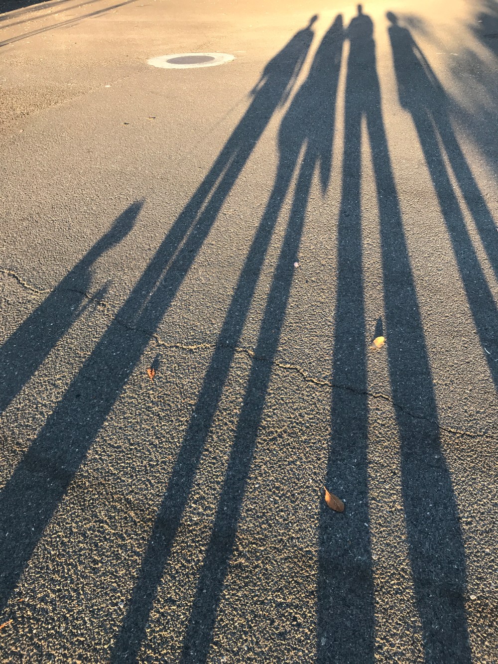 49E7F8C6-FA8B-4AA9-B98B-7DDC039EAAC9