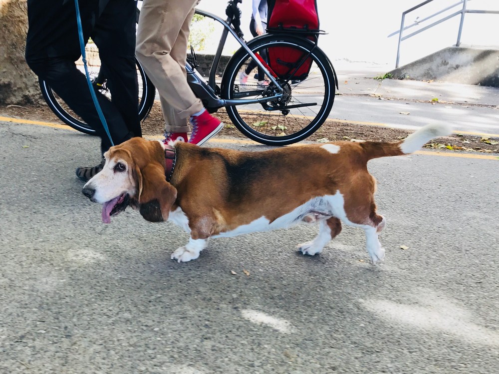 4A20412A-5F72-4417-92AD-AFA198CB7E9F