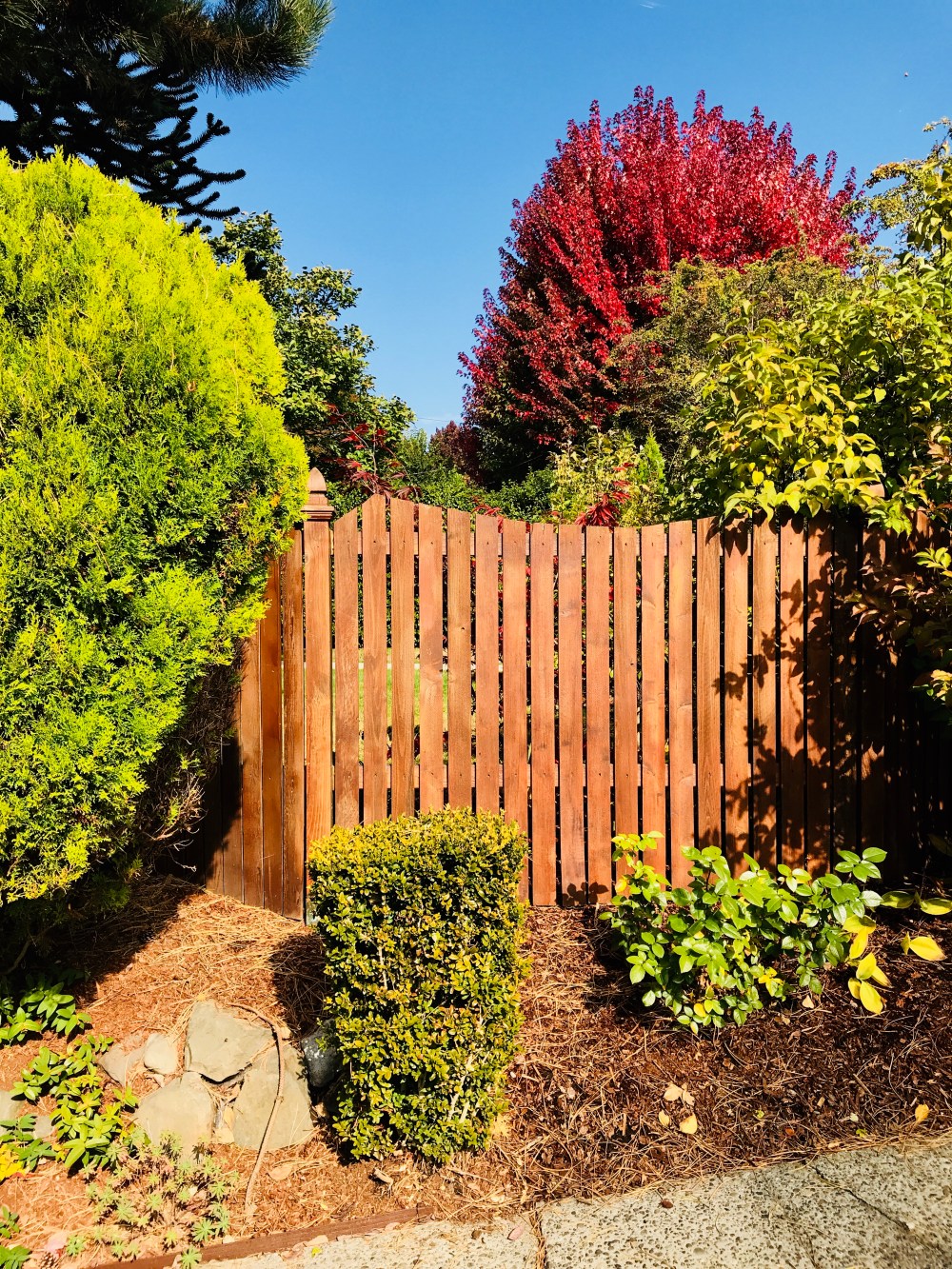 4A702FAA-9A54-4FBA-AB1C-98A8254C3FC7