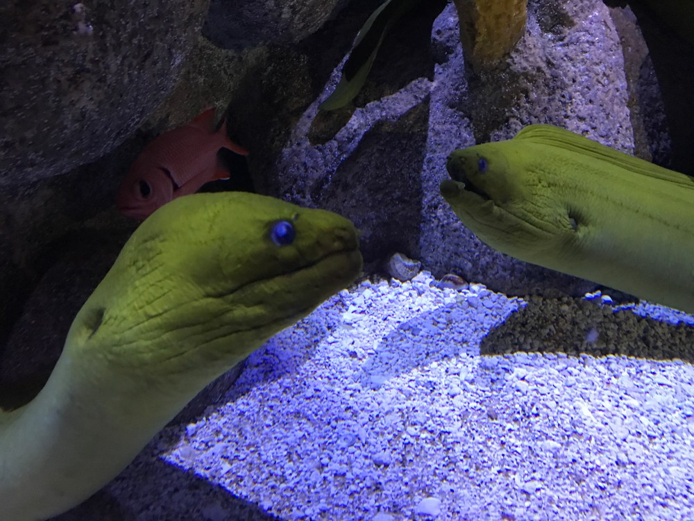 4A7AC451-478B-411F-A0B0-697DC994C399