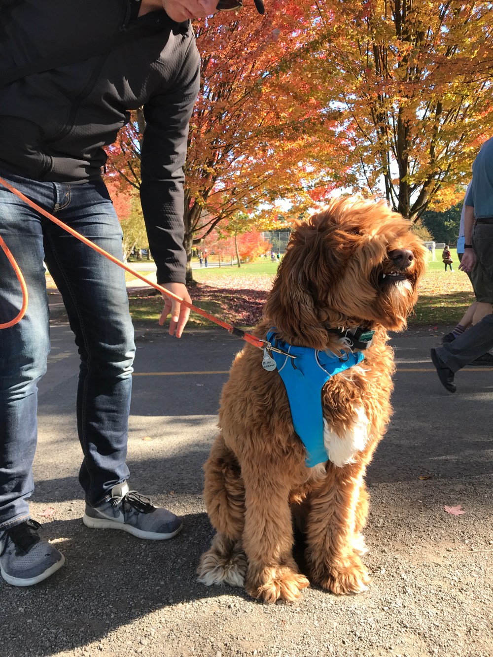 4ADE1804-E053-41ED-B2AC-7284E8877D68