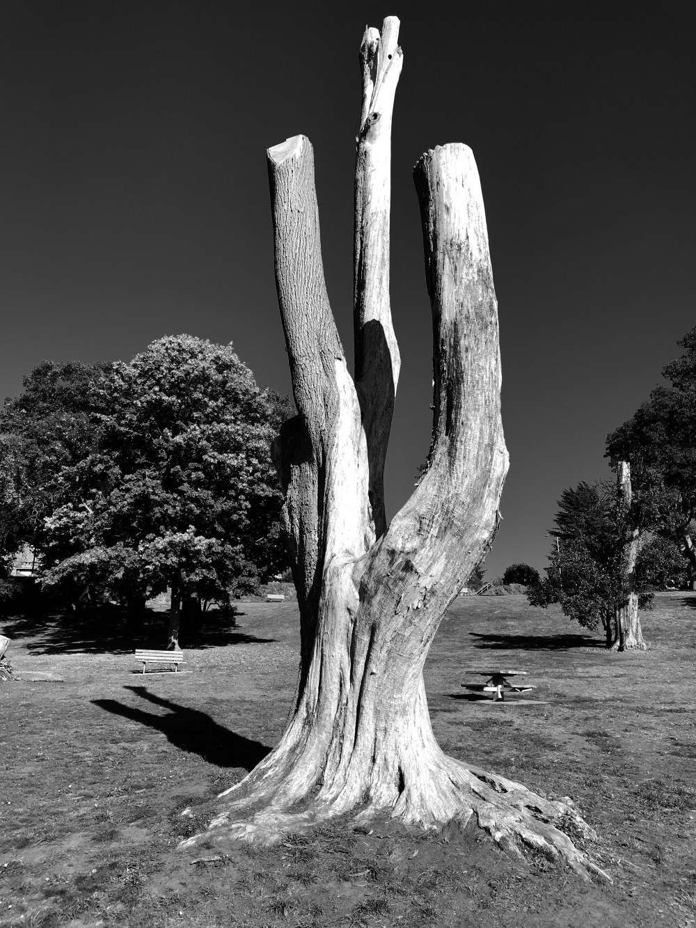 4AF962B7-5CAB-4550-8B46-B87527377908