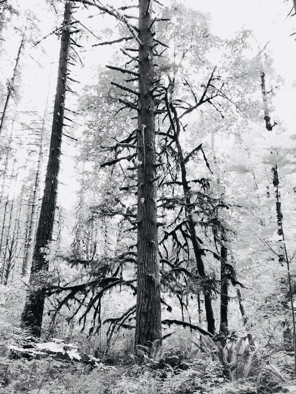 4C70CDCE-9CD7-4831-9015-26406FC8C7F1