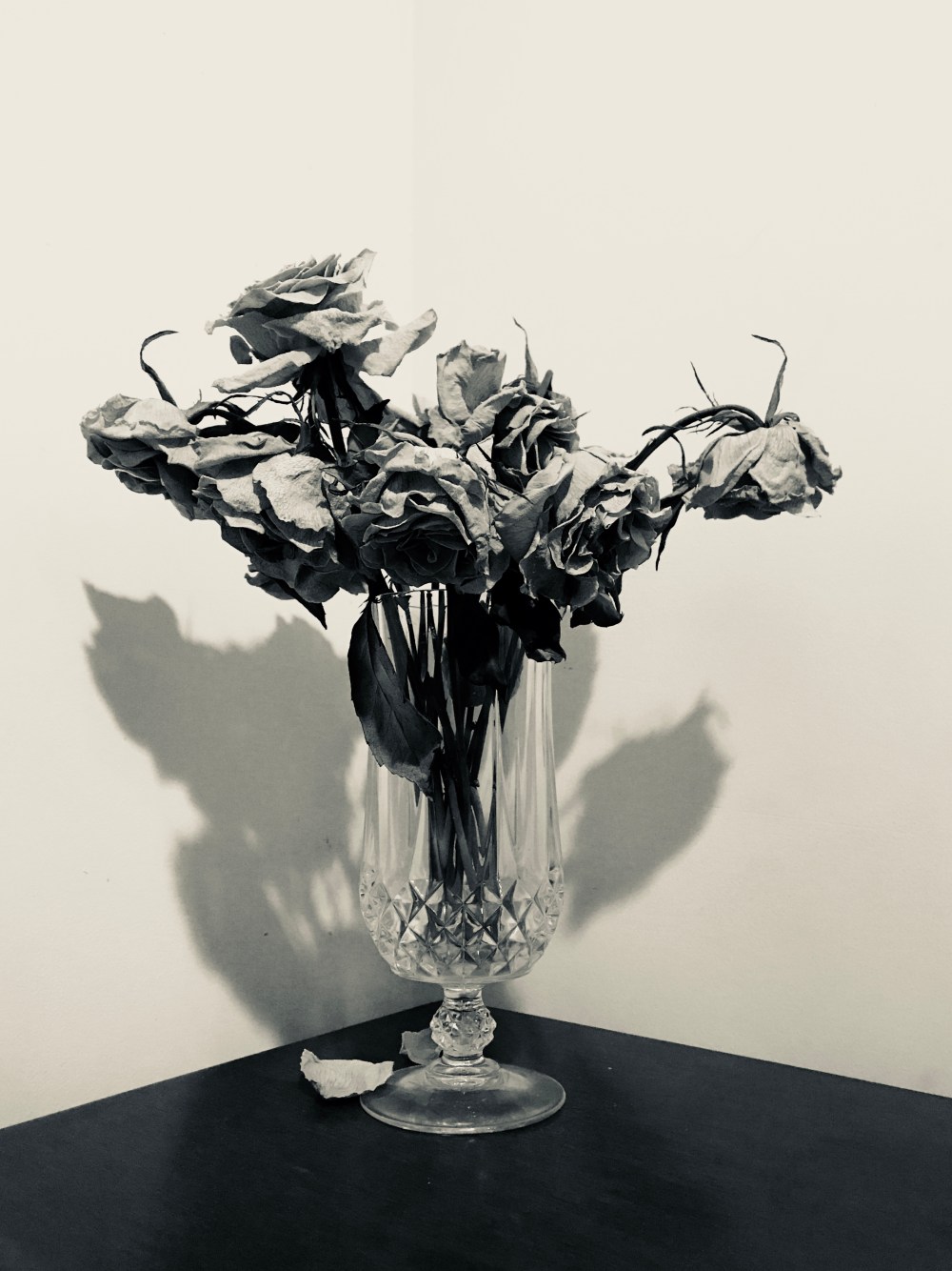 4FBAEF48-BAE8-4F4F-AC82-1B8CF1DE7EDF