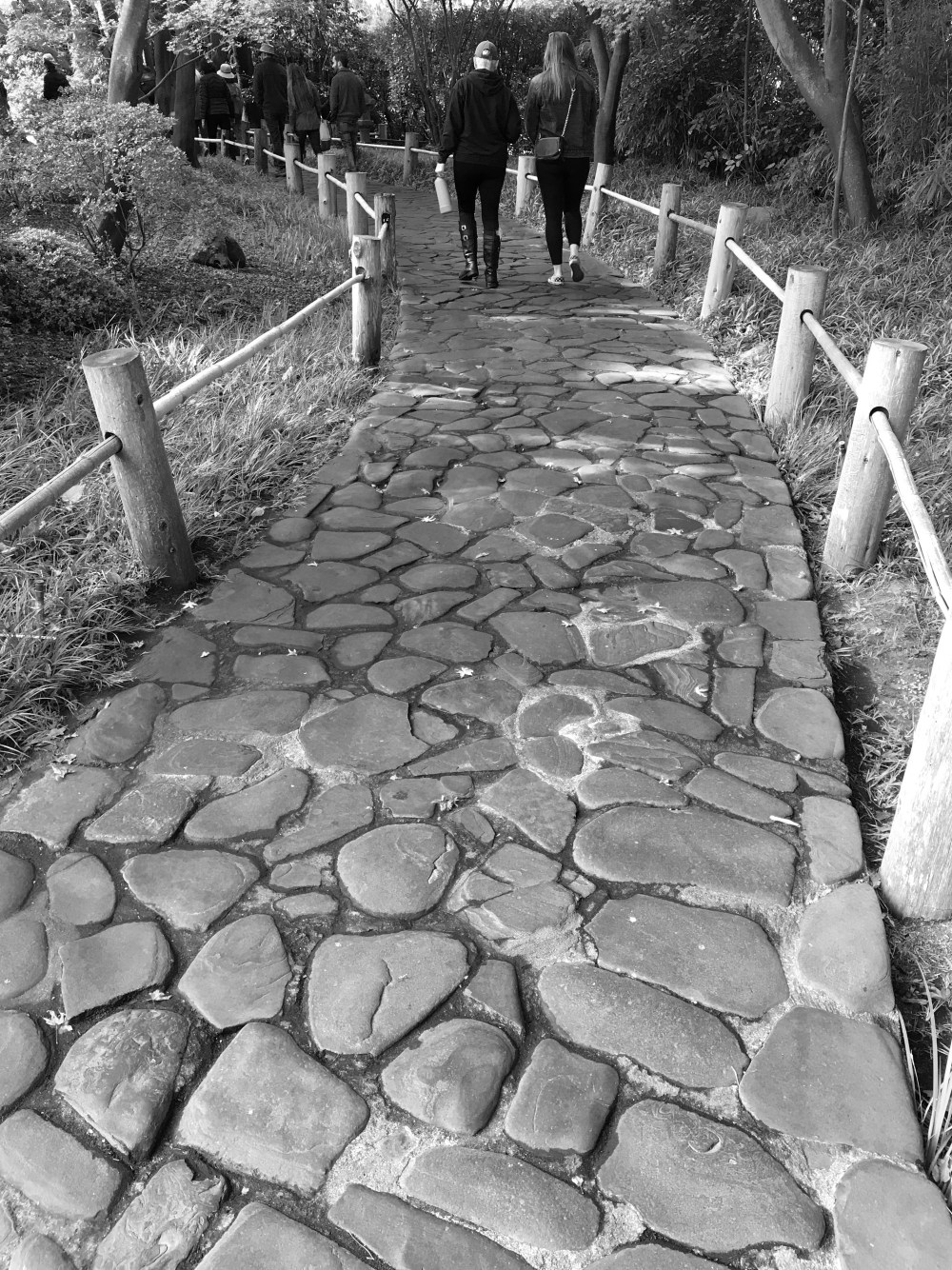 50CD37EF-536D-4E8B-8A8E-973FE696D891