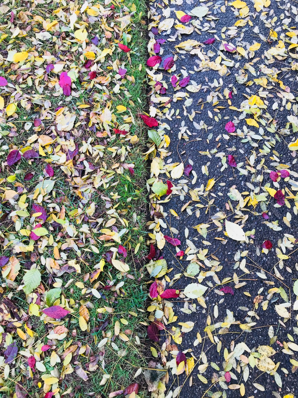 5218E692-7D6B-4F12-B177-6104CEC0F4F6