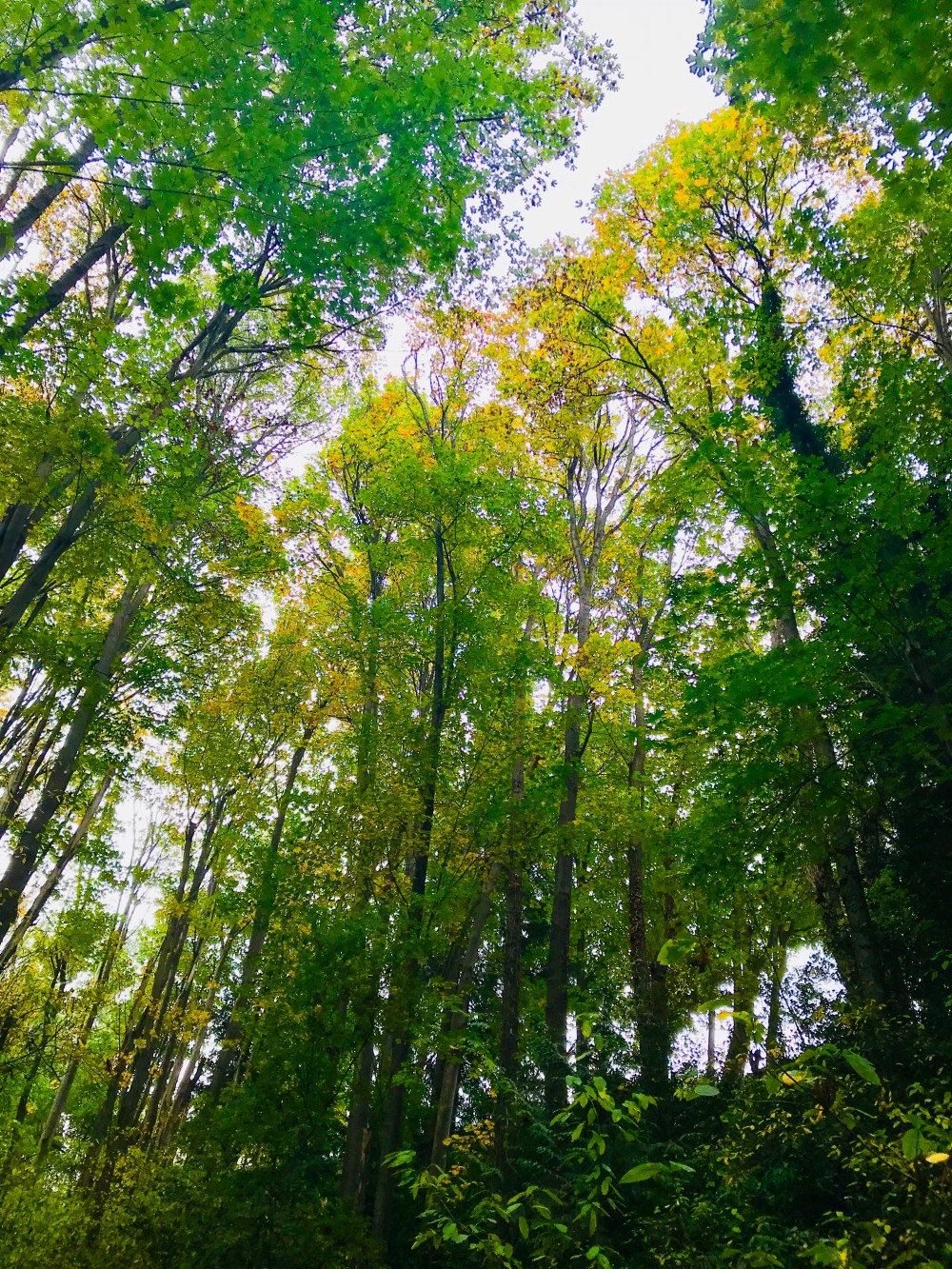 52B43D3C-7796-4C04-8283-50E8BCF02A15