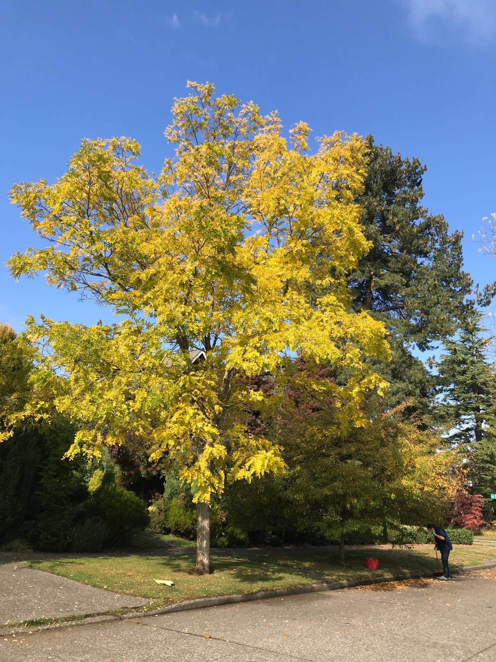 53F78391-F191-4DBD-89DB-15229D54DD34