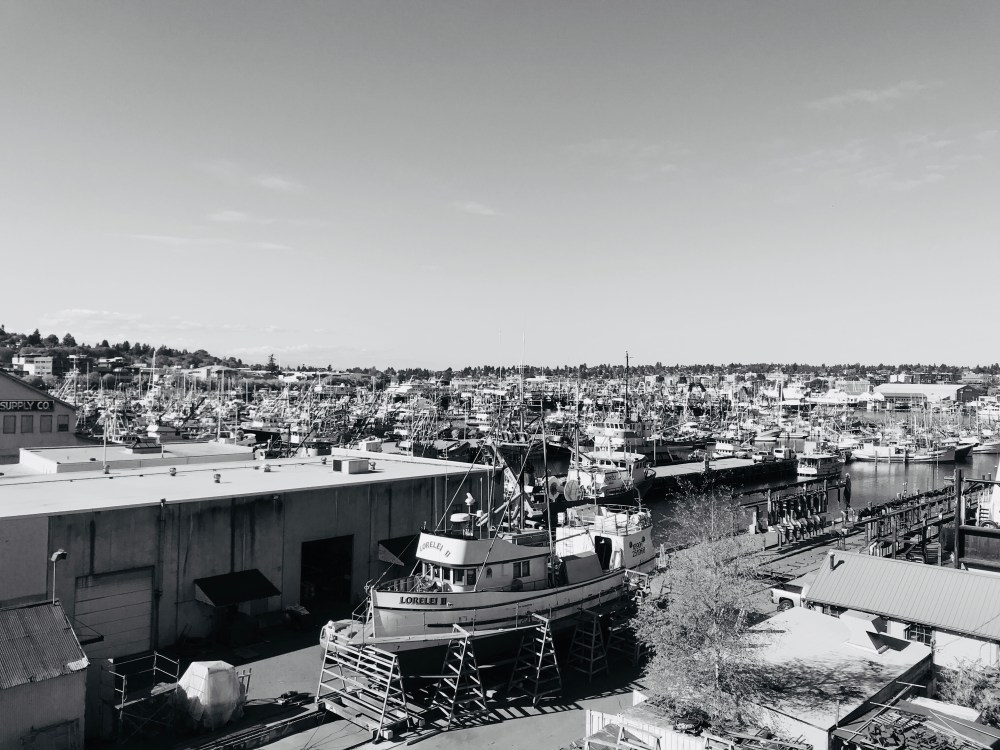 54CE42B3-303F-4AC3-8009-16146965DB26