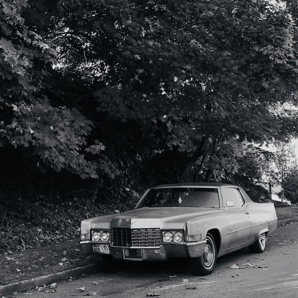 54FBE650-5FFB-4364-A815-58963ADF8A56