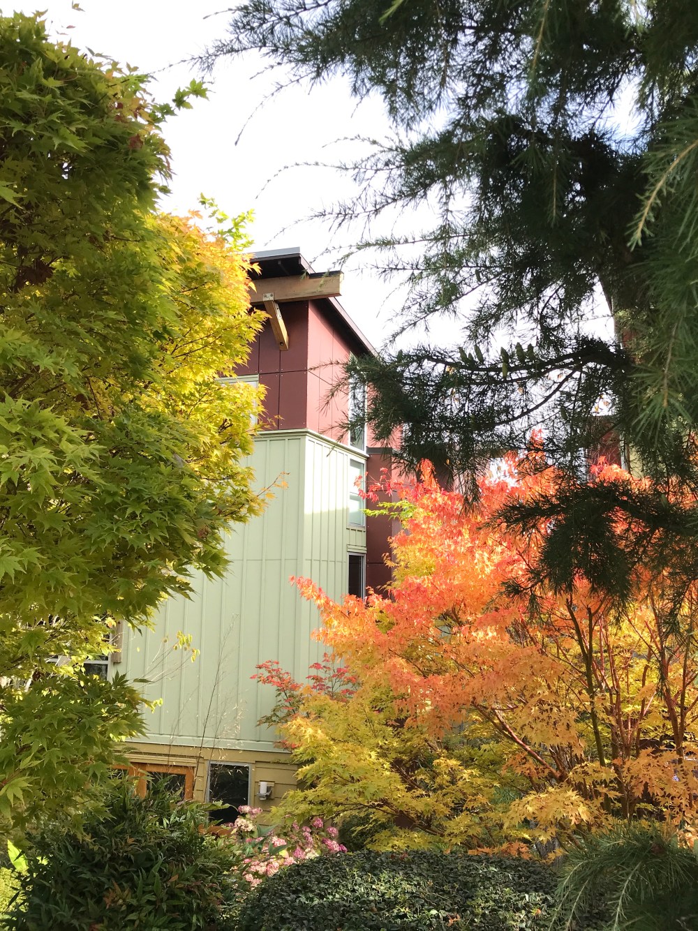 55A0BAB1-5EA5-4A10-AE37-220DA8920393