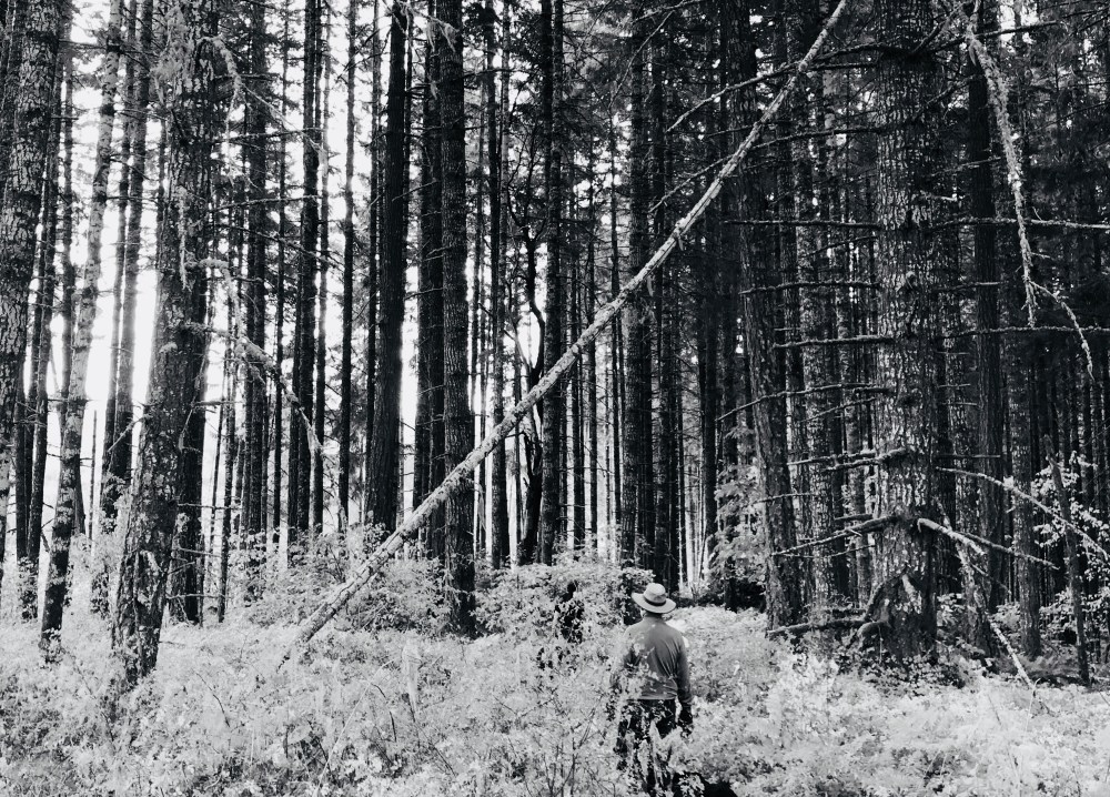 55E7F580-B59B-422F-8AD8-7D222DBFA8AF