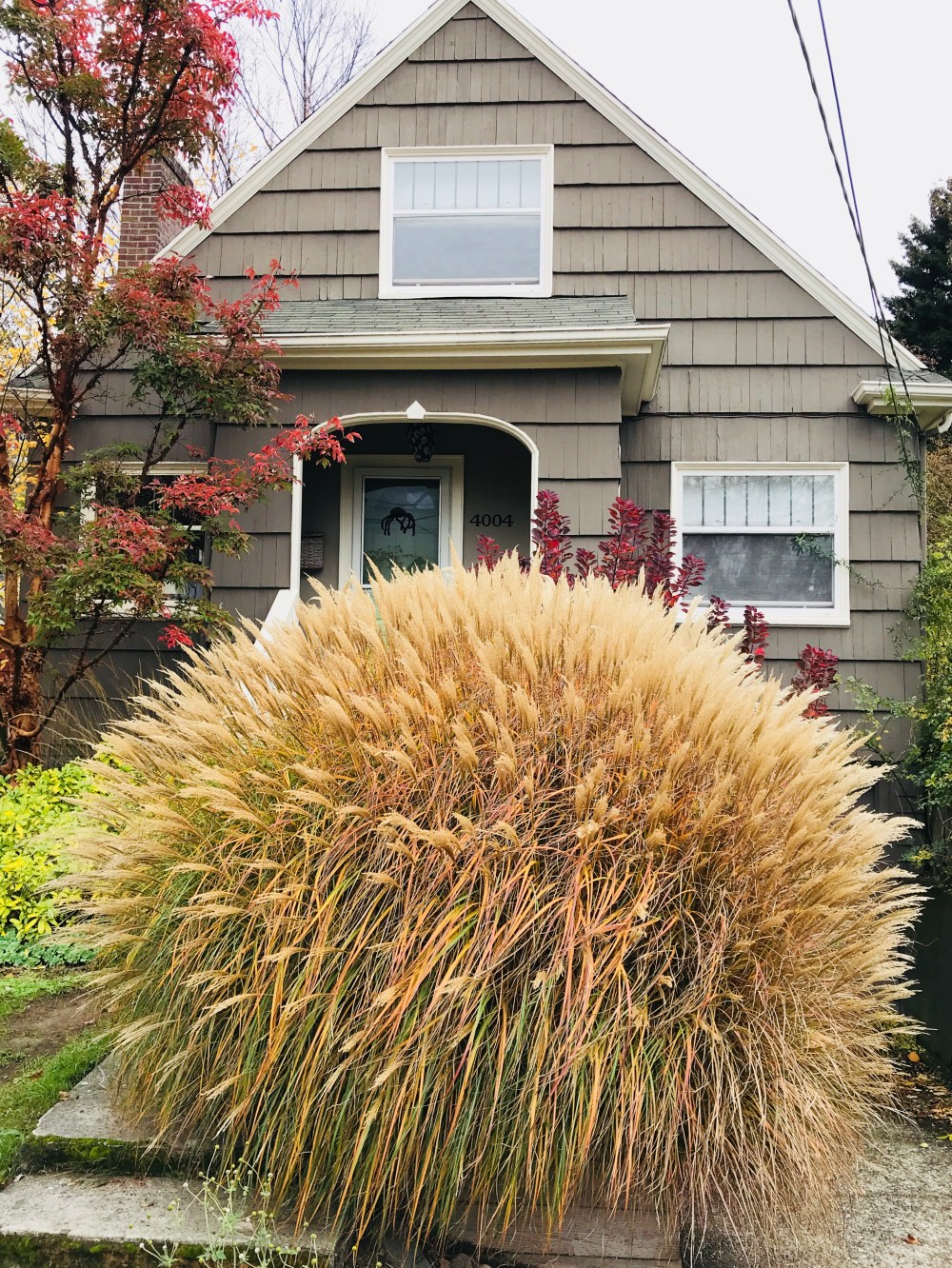 5907D433-D687-4859-BE4B-D064FF103881