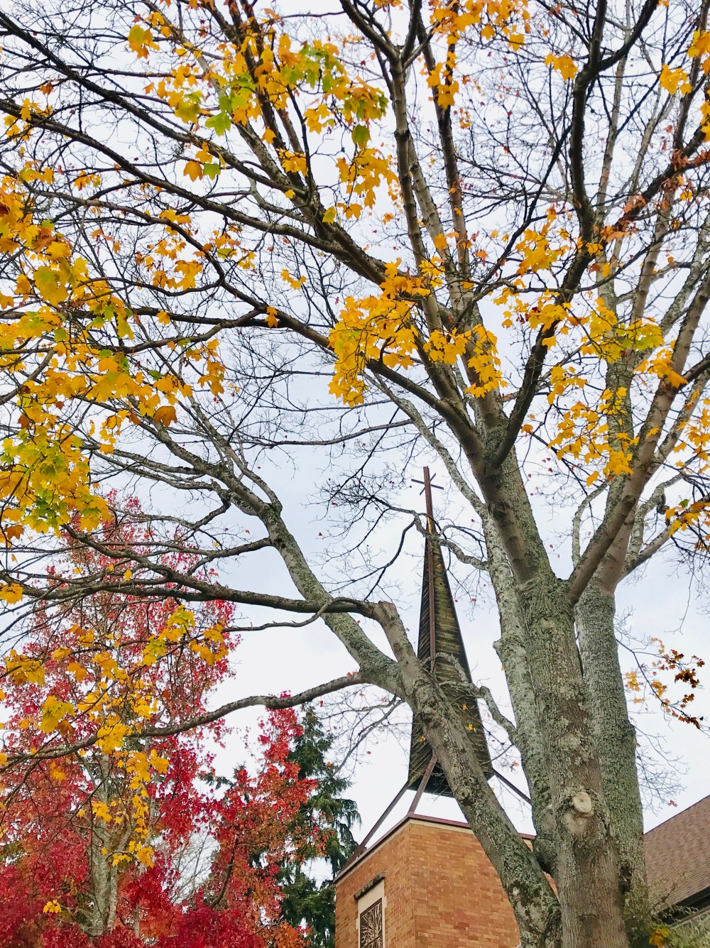 5E442F44-0B5E-48EF-859F-7EA97E575DAF