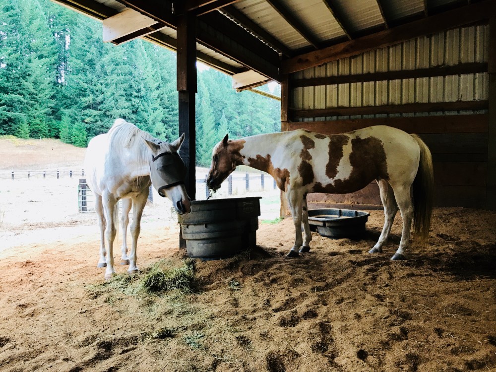 616152EF-0E0B-4225-8665-7DAE2BA61BD7