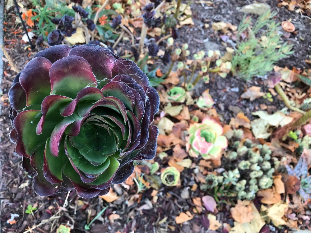 628236CF-ECA2-4EB3-A1B8-C3BBFA835A34