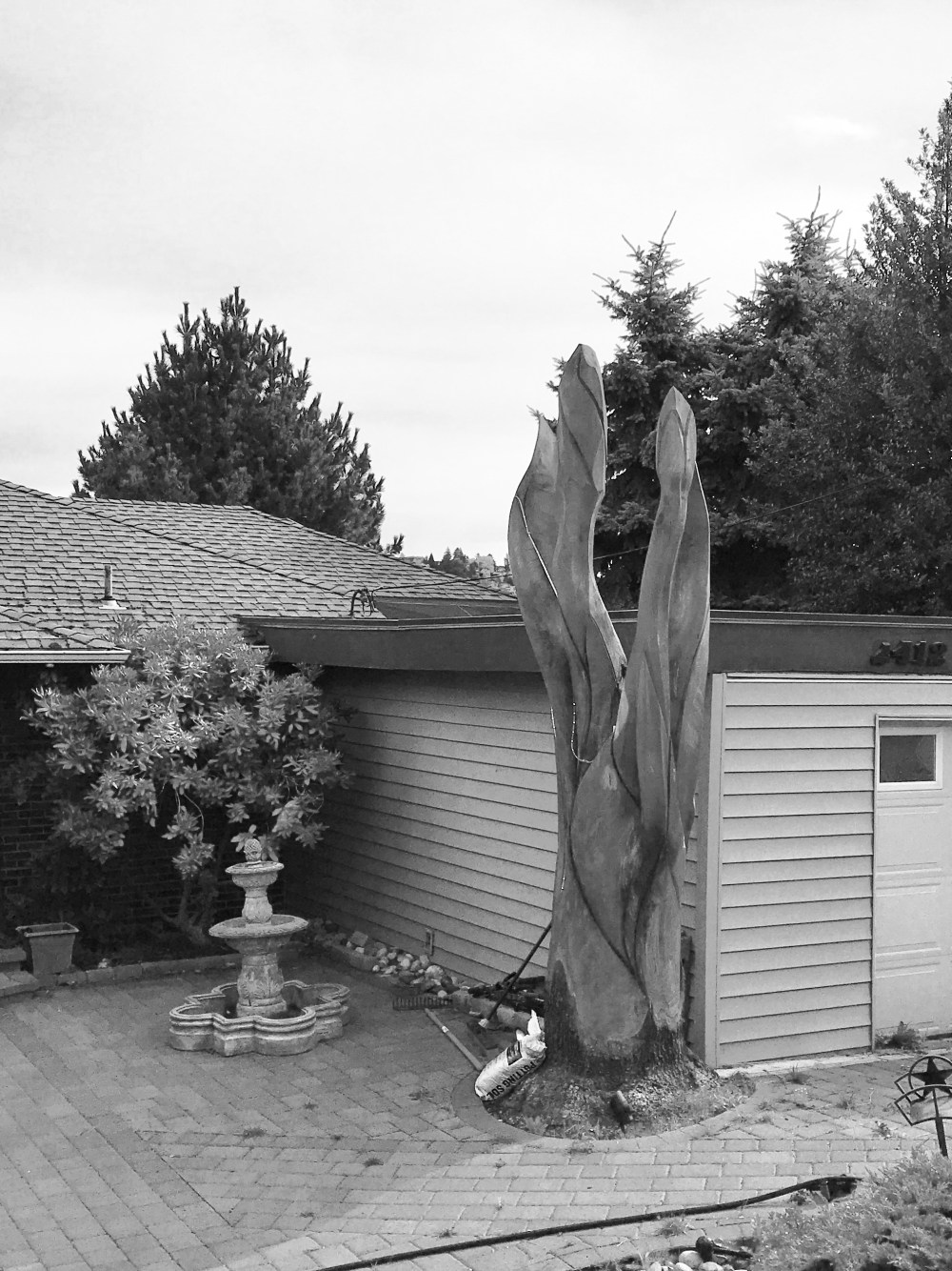 64A26A5A-6FE7-4B29-9303-8937164F3C56