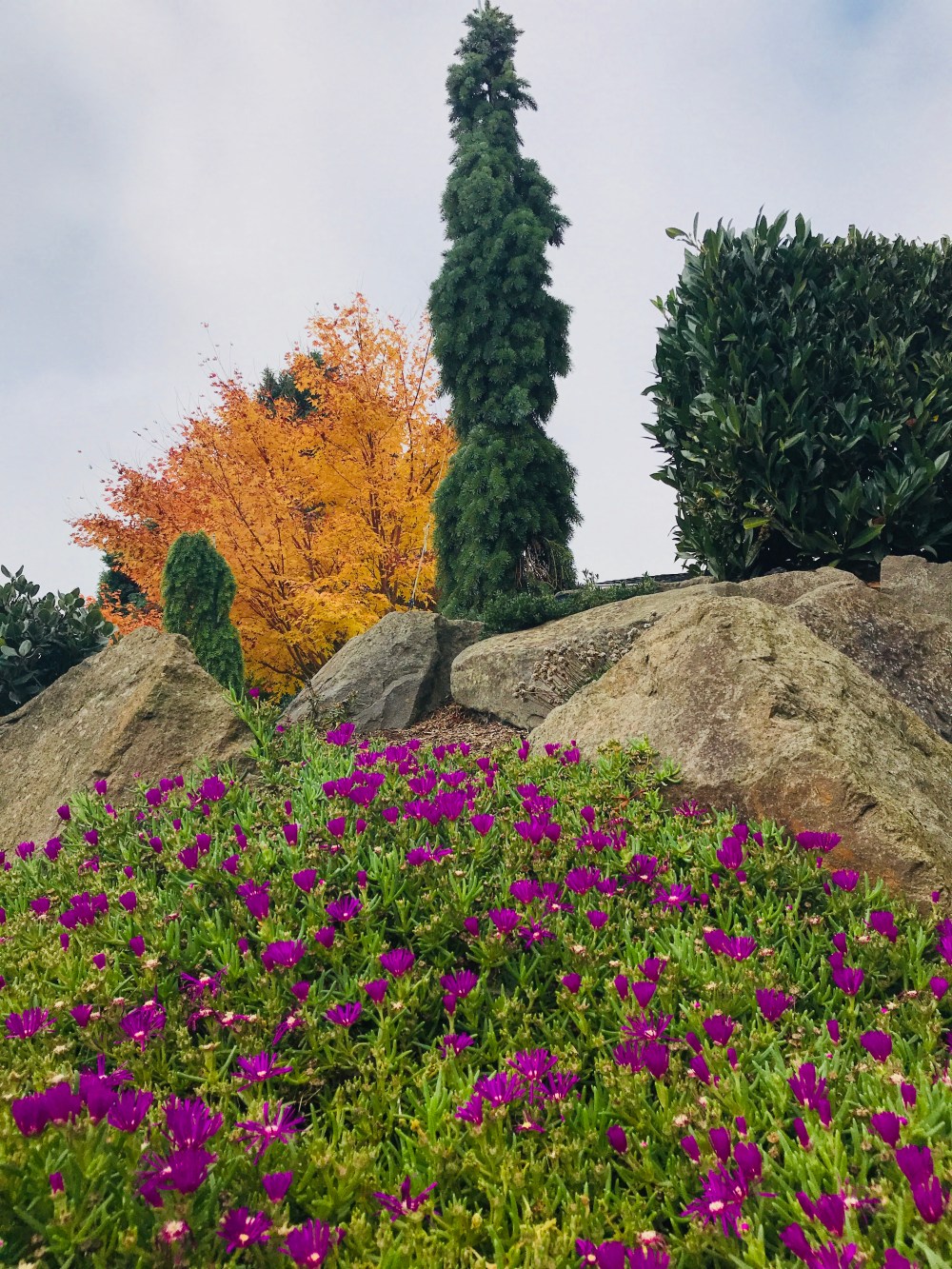 651AB5E6-C1F1-4243-B92B-B1A7492F02DA