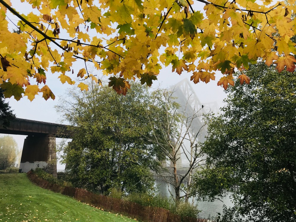 65CDA85B-FF49-4BFF-8CBF-3A9702DDD3CA