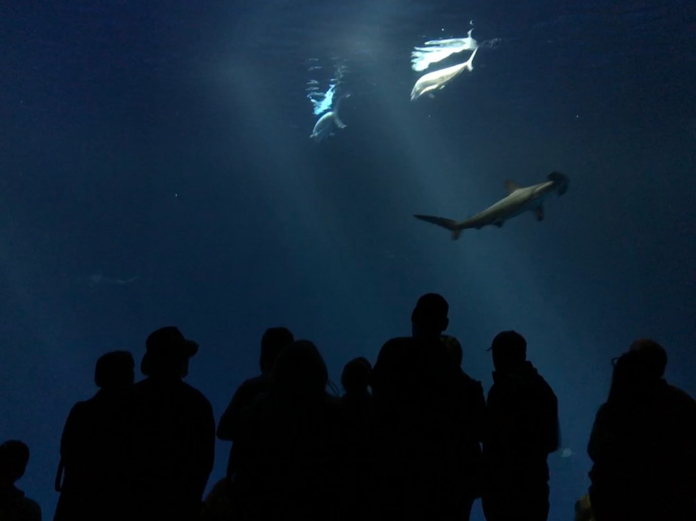 69032D3B-15DB-4FD8-8D26-86603E69C541