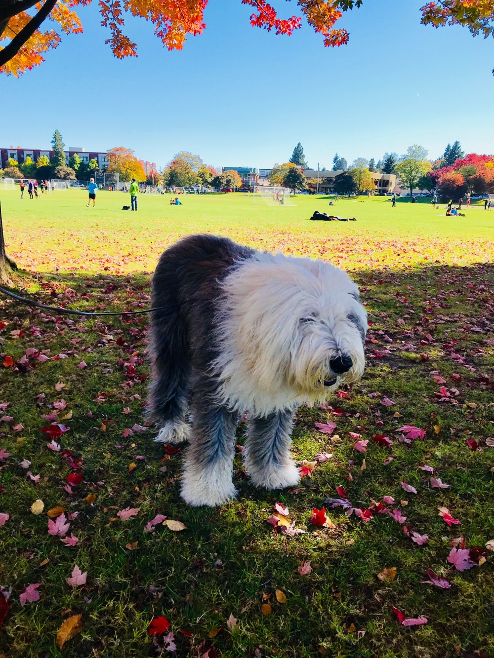 6A4956BB-25CD-4300-A56F-83931B2E5767