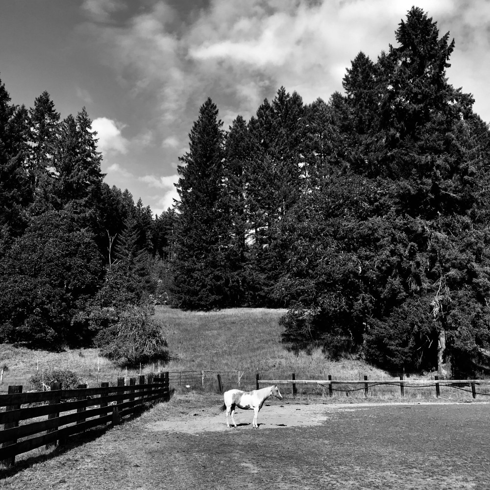 6A614D7B-CBF3-4E7F-8B08-B5A1E3351B31