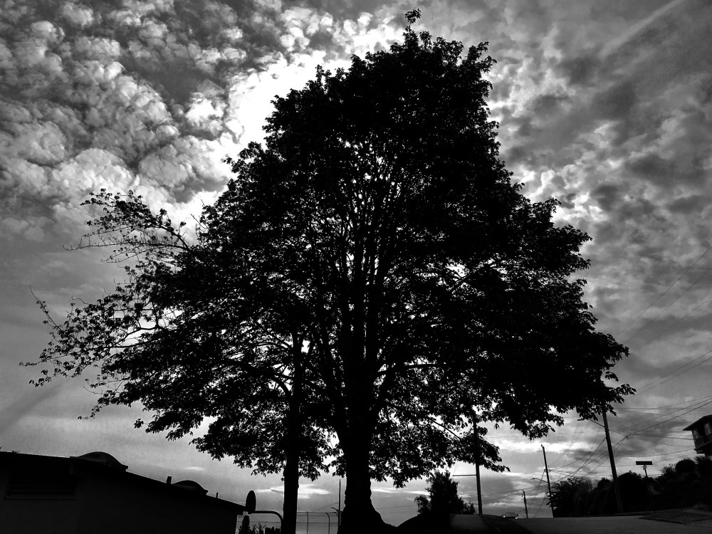 6C9F9B36-59BA-4A4B-AAF8-EACD9AE5A1D6