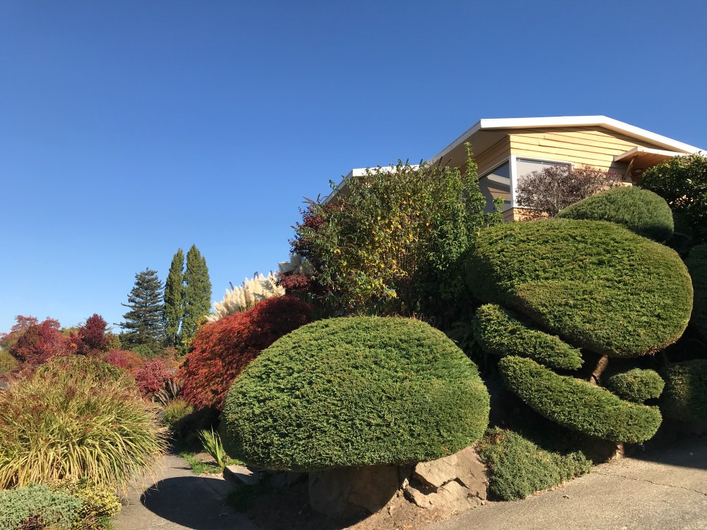 6DEC80FD-B522-4D81-83F5-26804C2798E9