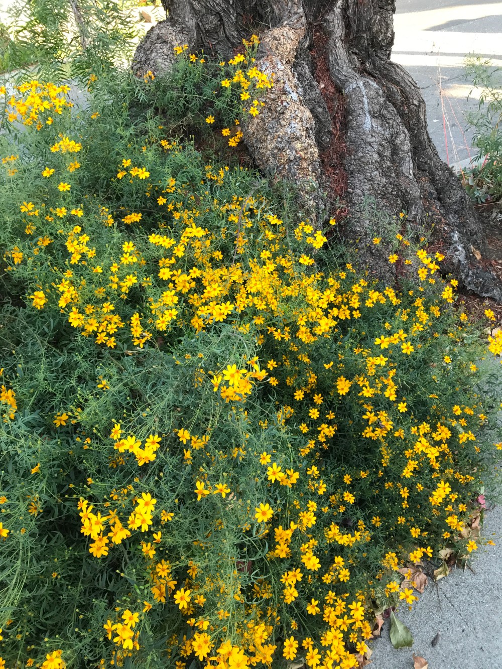 7285EFF1-6D2E-4D96-8146-0C7DC1F6C484