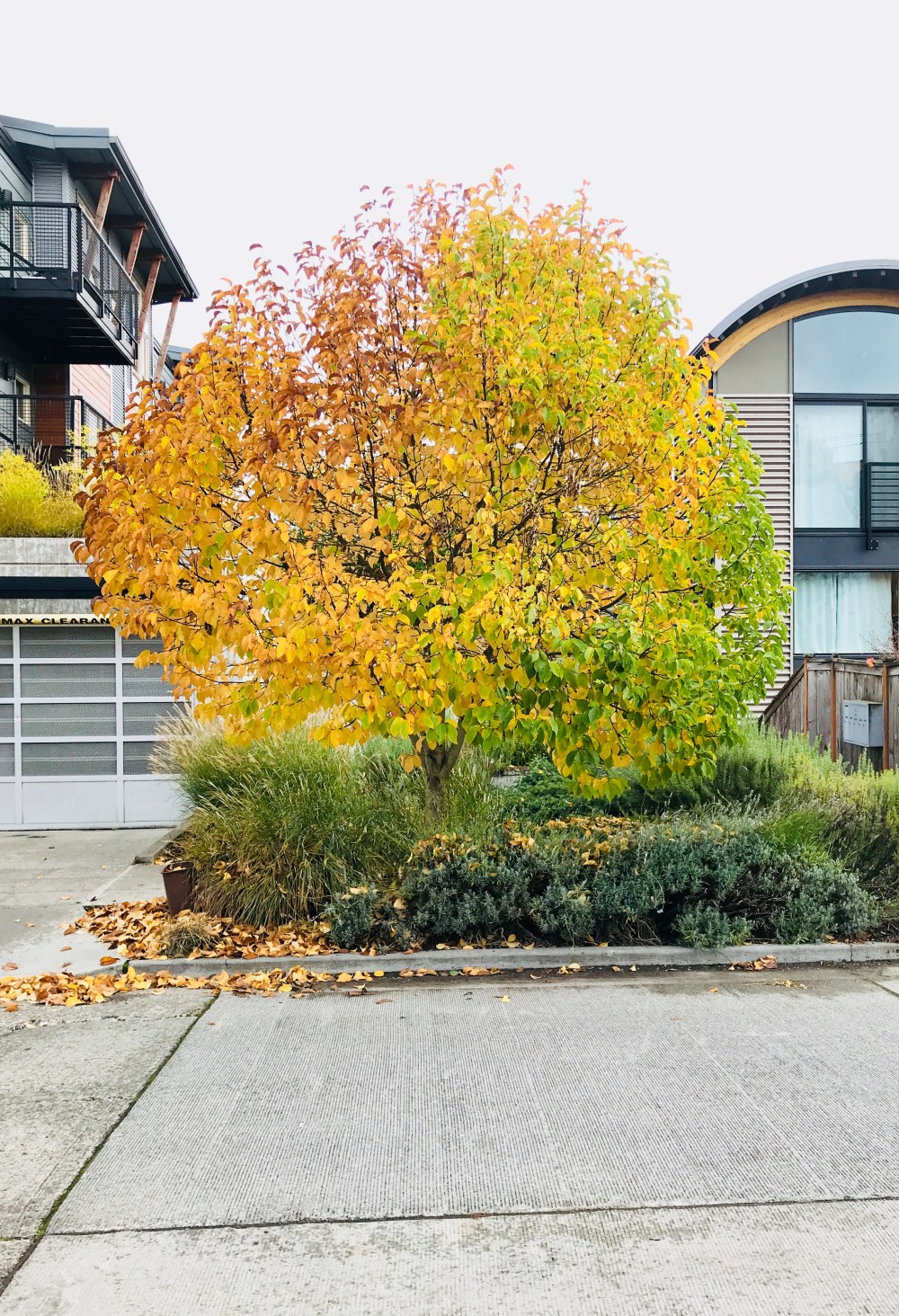 738F17C8-DBF4-4522-BBED-8933E2859C9B