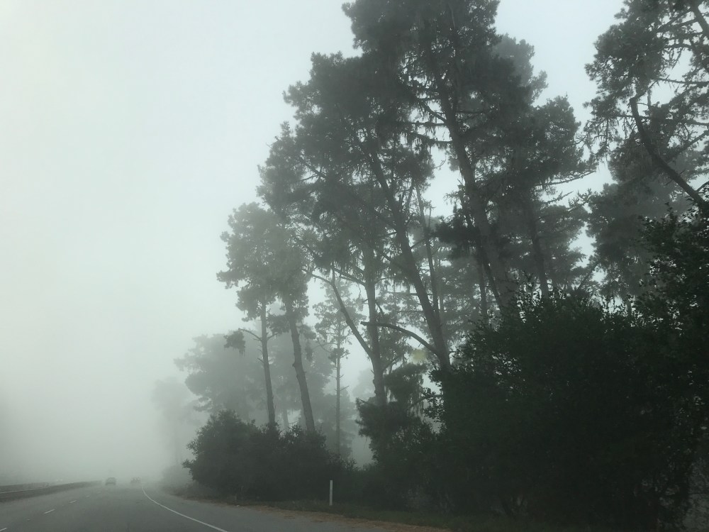 746B750A-6A26-4330-B4CC-C3259B119479