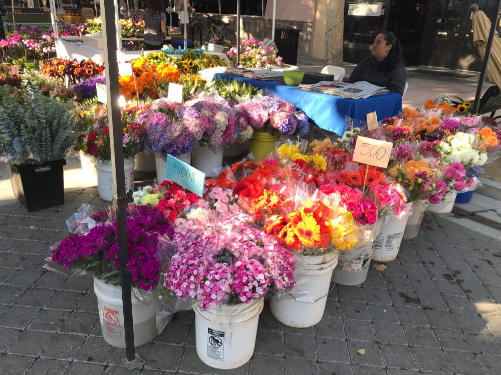 74775F76-05BB-4950-8C0D-E4A864D5FC8C