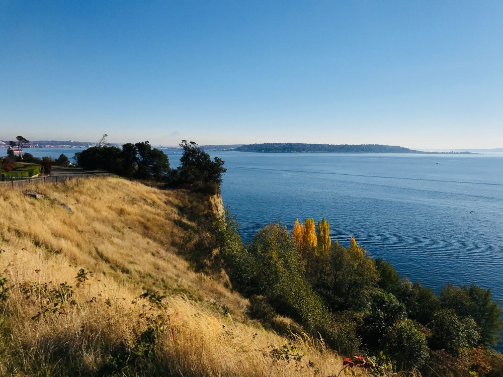 772B4F76-EB30-439E-849E-D5435B1B455C