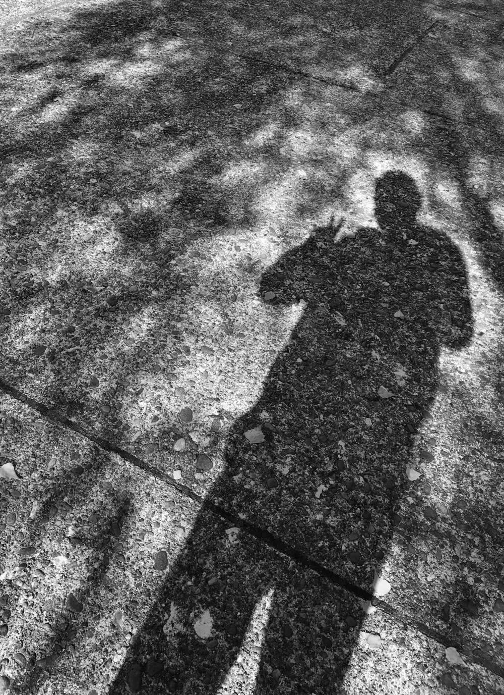 78513FFD-A5FA-4EA5-85F2-11B63CC1DFC8