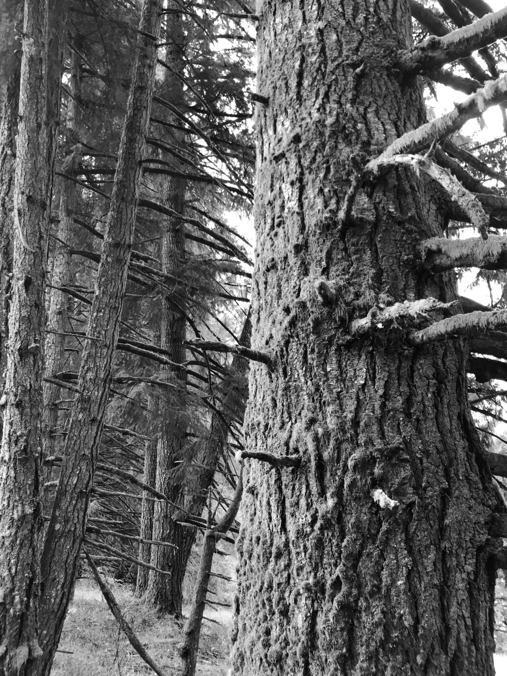 7A96C60C-0D5E-4CC7-9885-AEA4C8BA8D3C