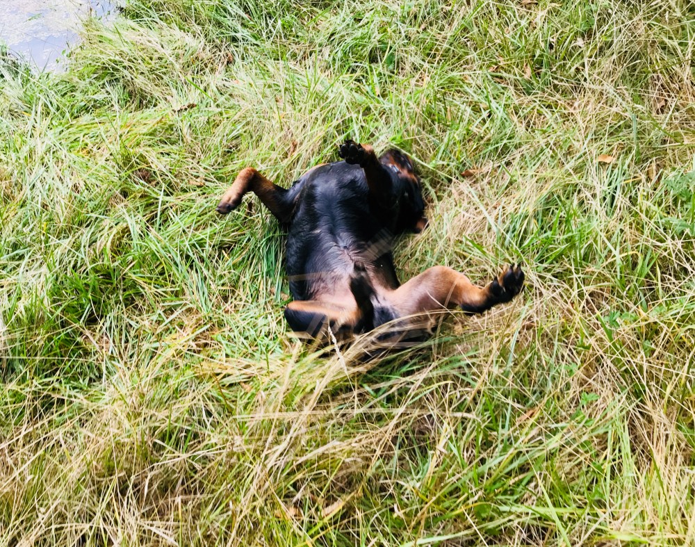 7AF43BE3-61DA-4AF9-A9E0-E0E4B85657F3