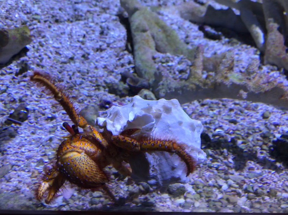 7B17BBBD-029D-473C-8F10-E9517A188113