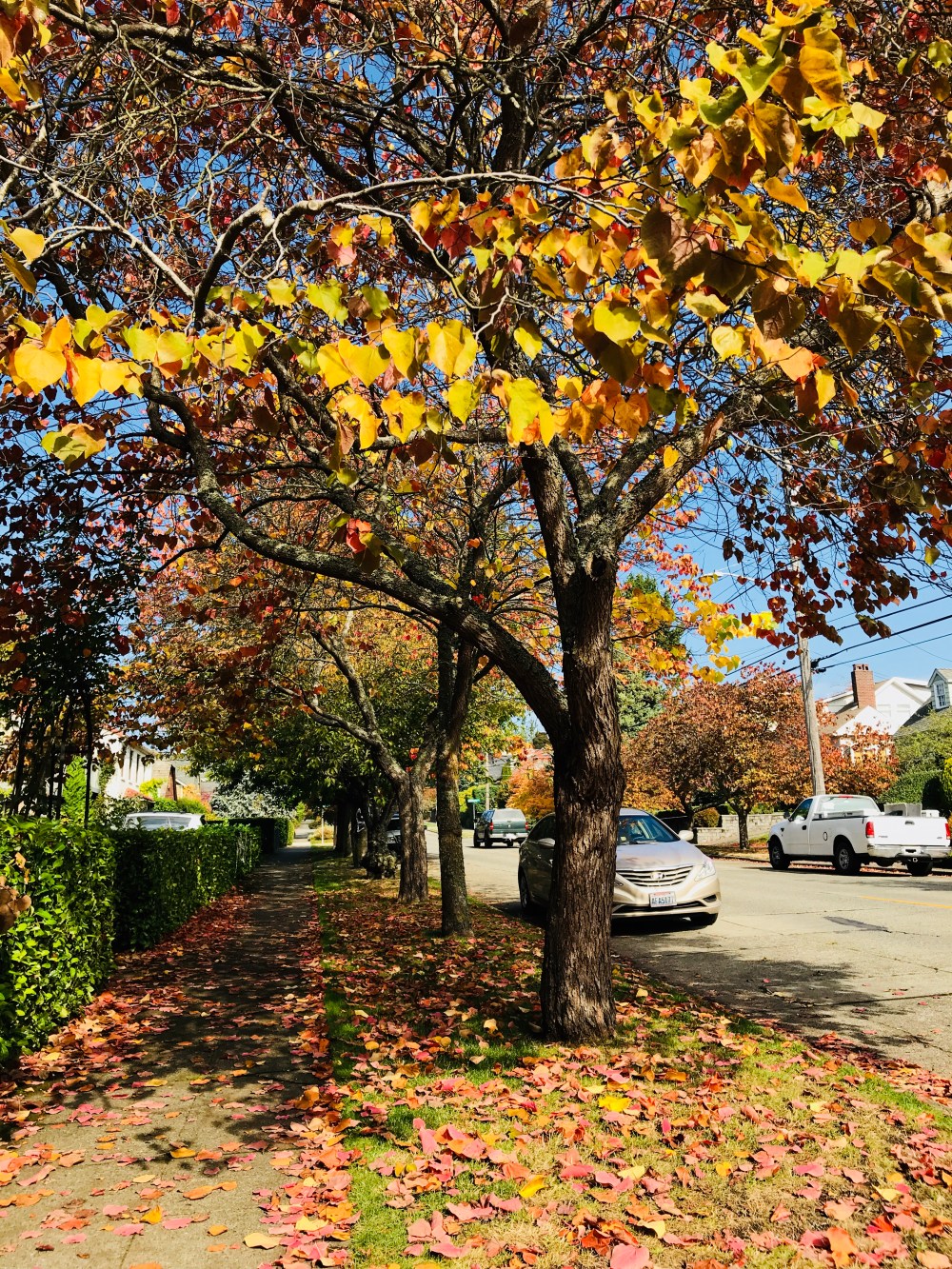 7CB090BA-05B8-4674-BAF7-75AEF17AEAC8