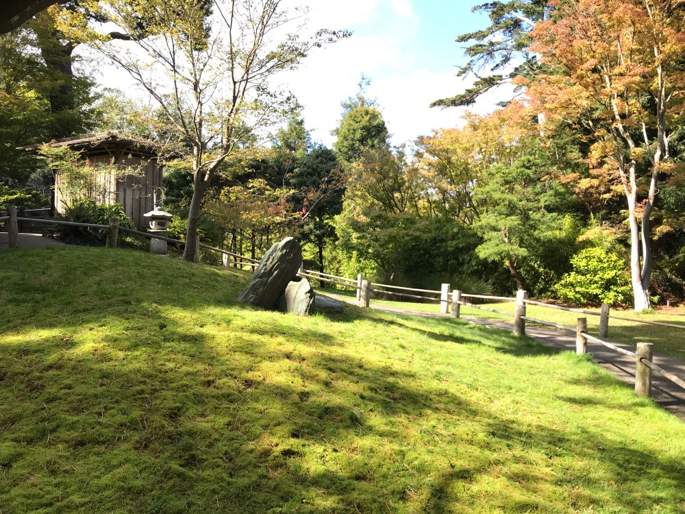 7D6ECC9F-9FA9-4AFE-82A5-1B30FFD618B4