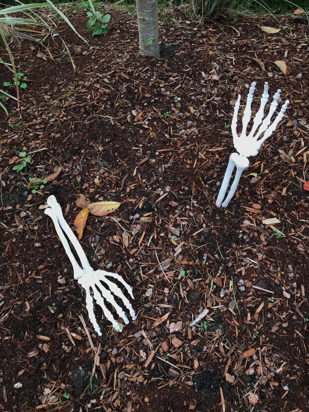 7DAF0C8D-FEDC-4436-BD65-E890CF15D45E