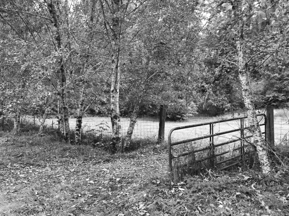 80E9D327-93DF-426B-9FC1-78204C6B381F