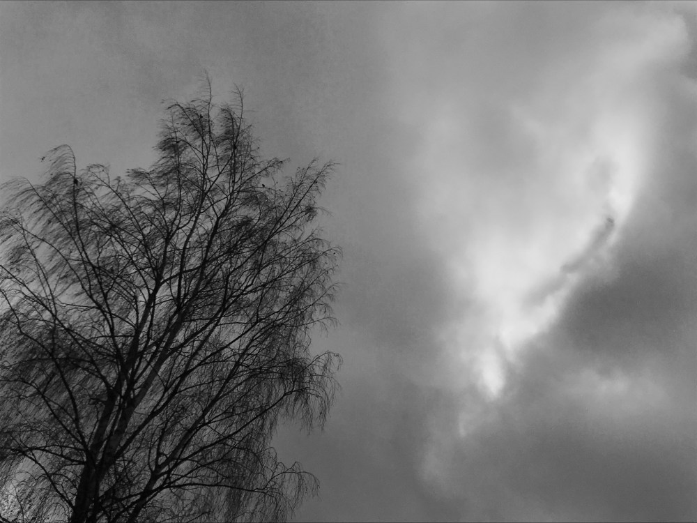 84940D43-FDCD-4D23-BECF-24FC2E2E7A39