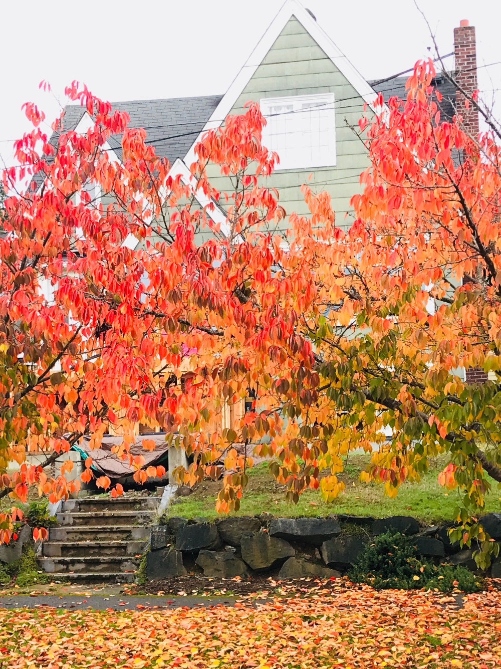 859D5E1A-D0C1-4504-A798-F776804A444E