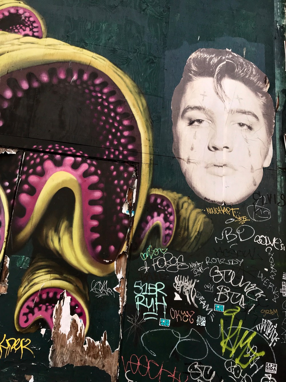 87049CBD-B937-497C-A809-2CF554997308