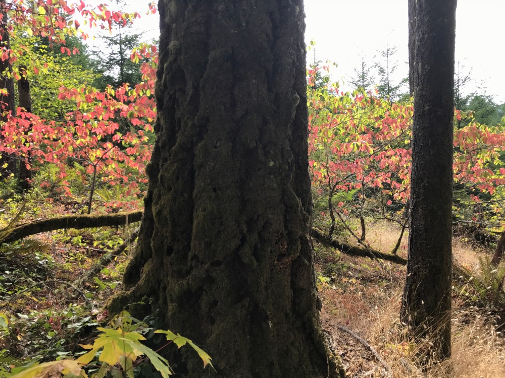 874CD94C-924A-42C6-882E-409397EBF20B