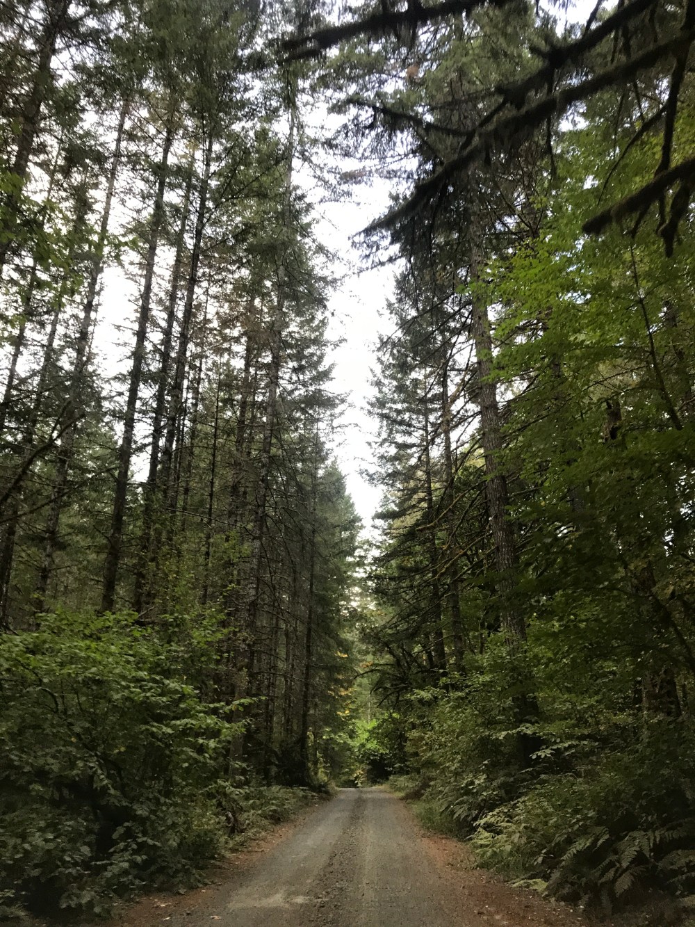 8ABF9972-B567-440D-A48B-A140E0E12980