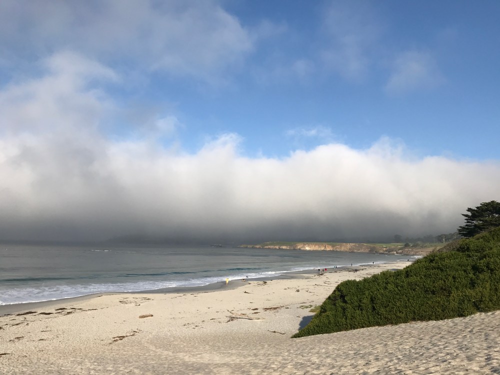 8D541A26-32D1-4E12-80FE-3E07876D89A2